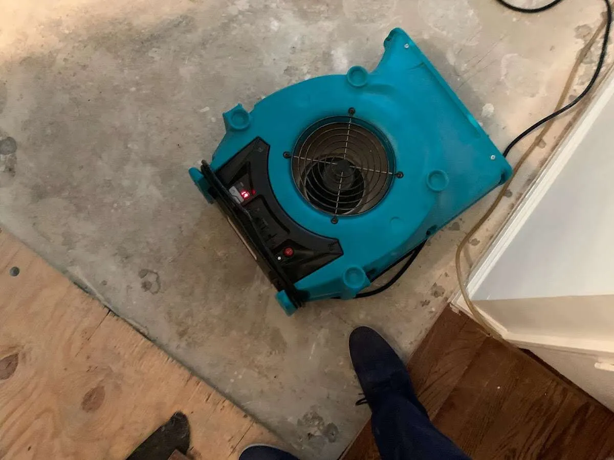 Air mover drying subfloor during Leak Detection & Repair in Hornsby Bend